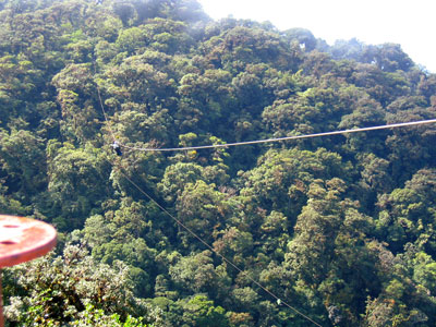 SkyTrek Canopy Tour