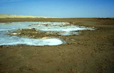 salt crystals in dried out puddle