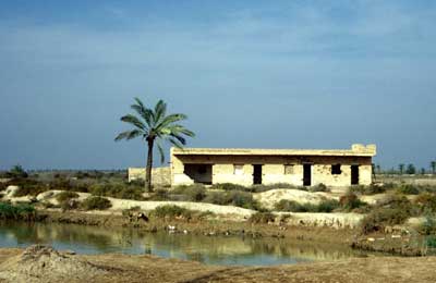 Dream house next to river and ocean